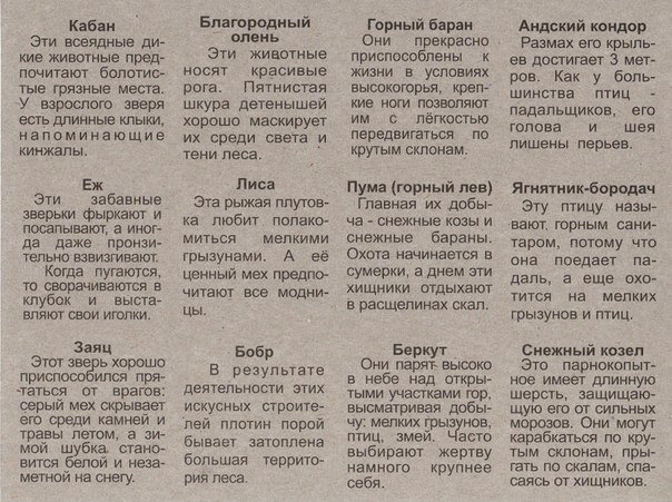Дидактическая игра