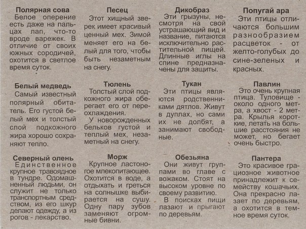Дидактическая игра