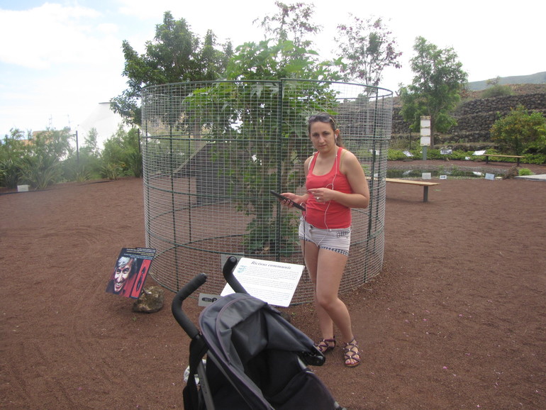 Наши 7 месяцев и первое путешествие.