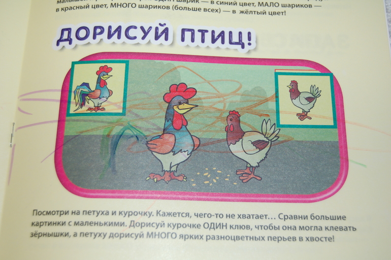 ТН Птицы