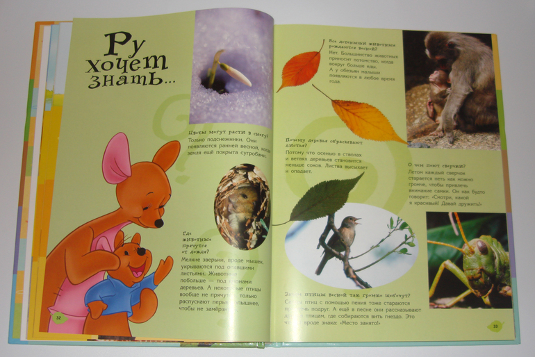 Первый снег...