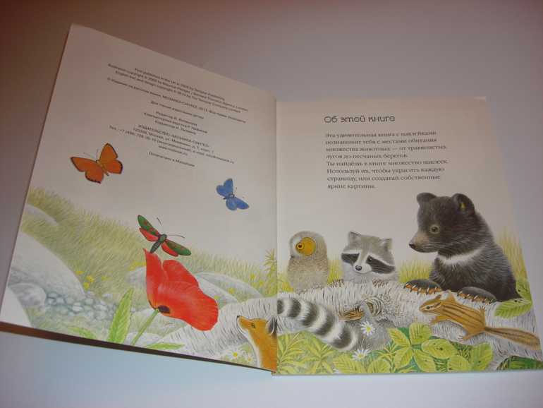 Подарочный фонд. Наклейки на 3 годика