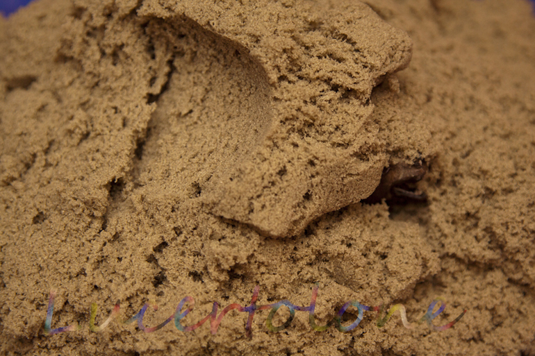 Песочный хваст