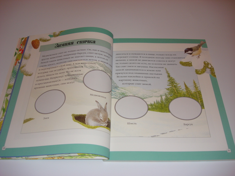 Подарочный фонд. Наклейки на 3 годика