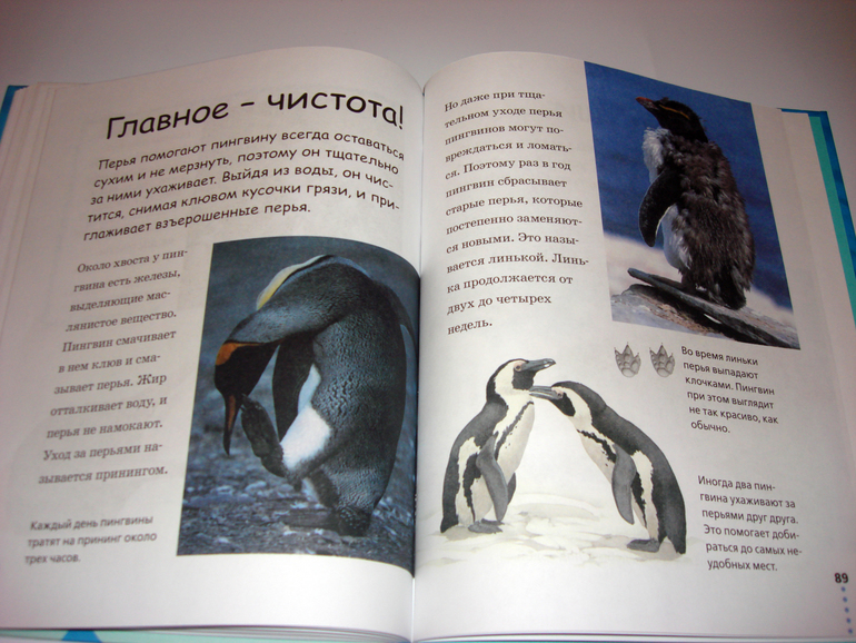 Первый снег...