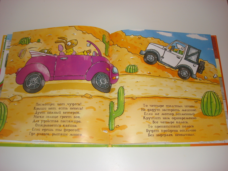 Робинс окошки