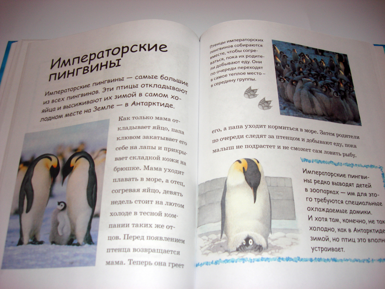 Первый снег...