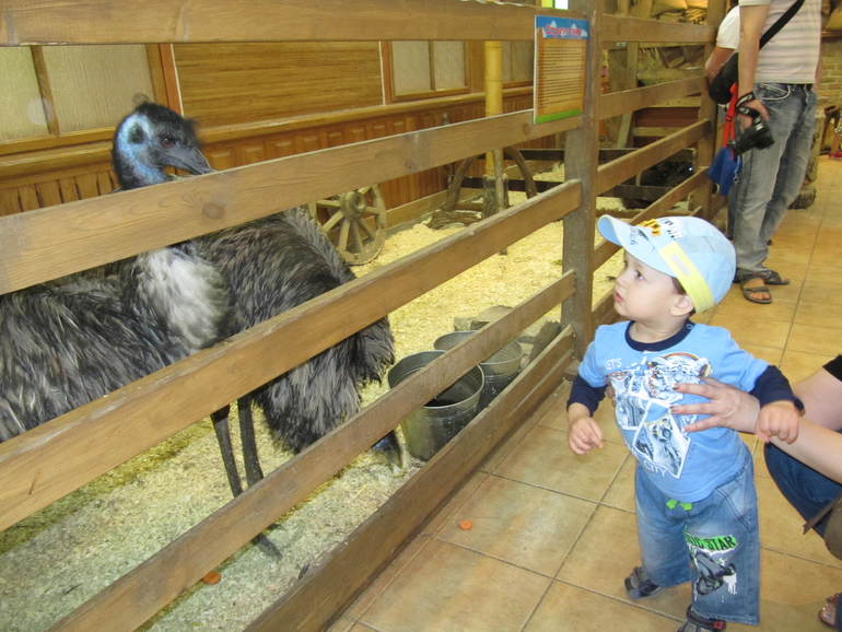 Трогательный зоопарк!