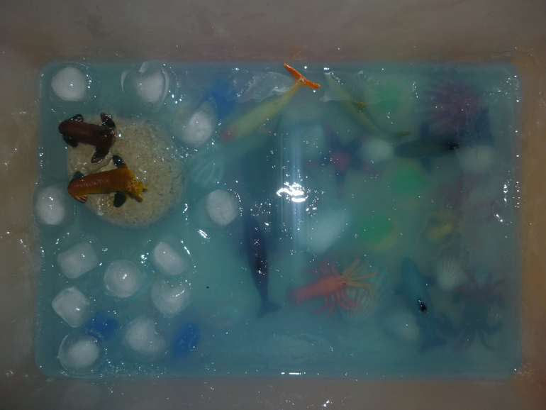 Море из желе