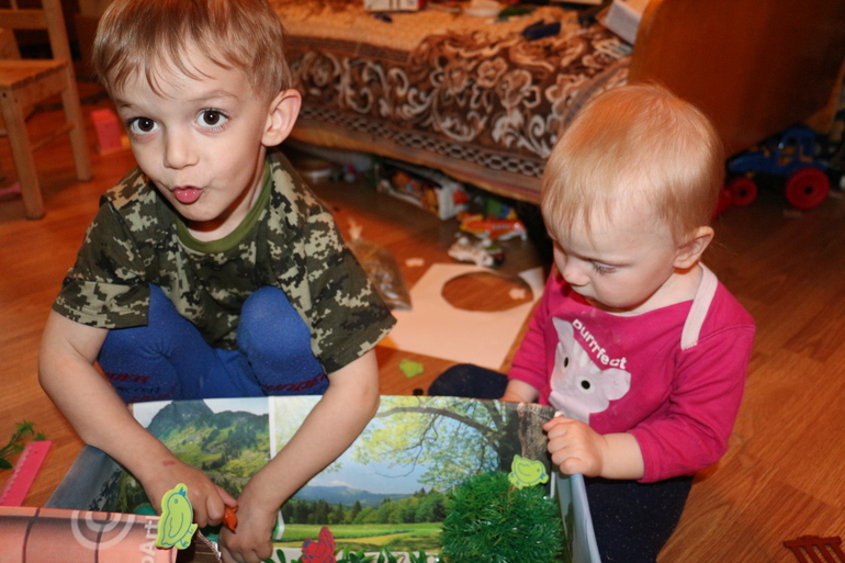 Отчет Курица, петух, цыпленок