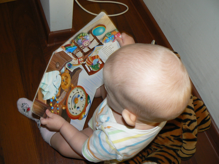 Ёжкины санки