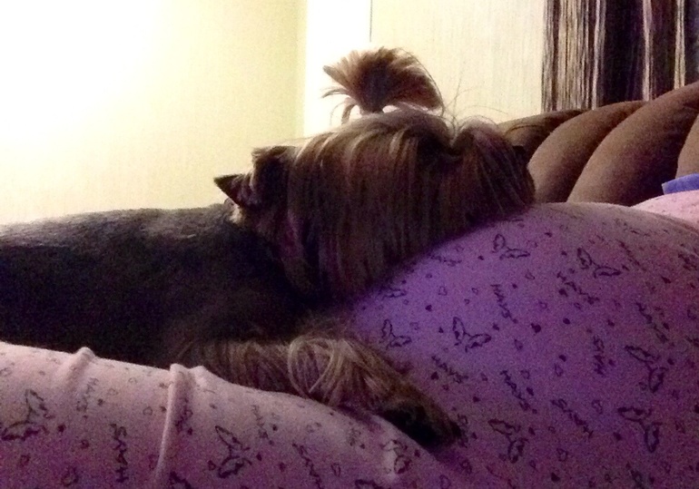 Забавное фото получилось))