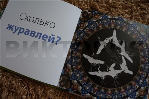 Считаю сам в музее