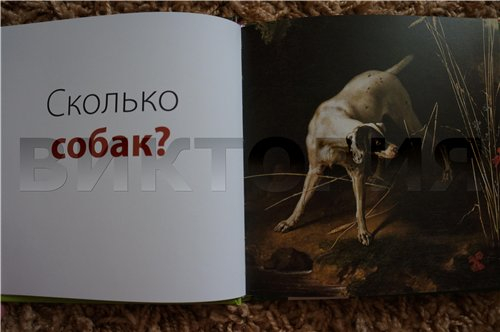 Считаю сам в музее