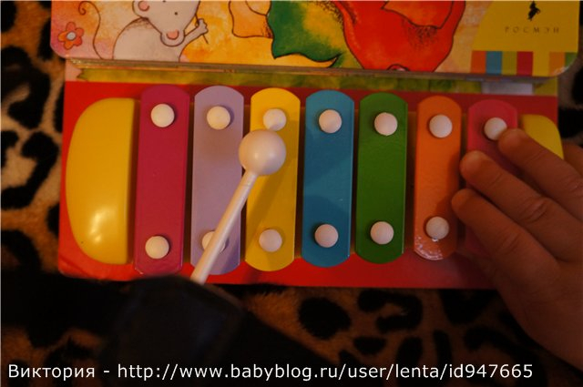 книга + ксилофон