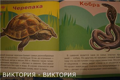 Мини-энциклопедии 2