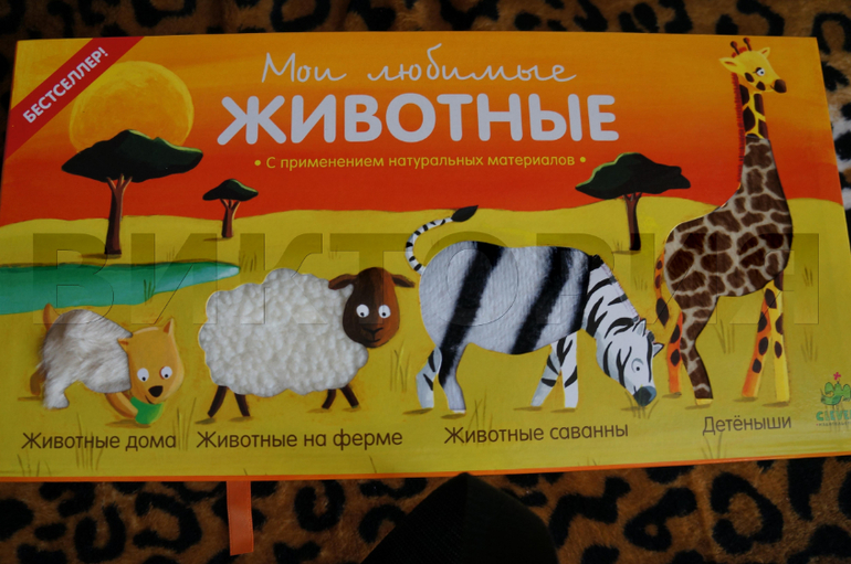 Тактильные ощущения и моторика рук