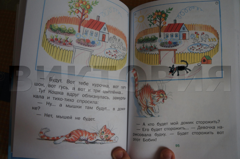 наш В. Сутеев