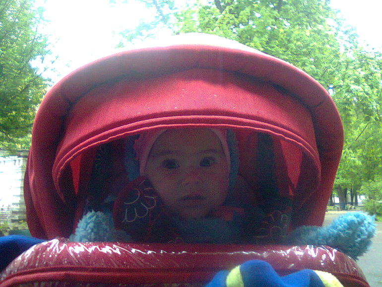 Наши прогулки (накопленные фотки)