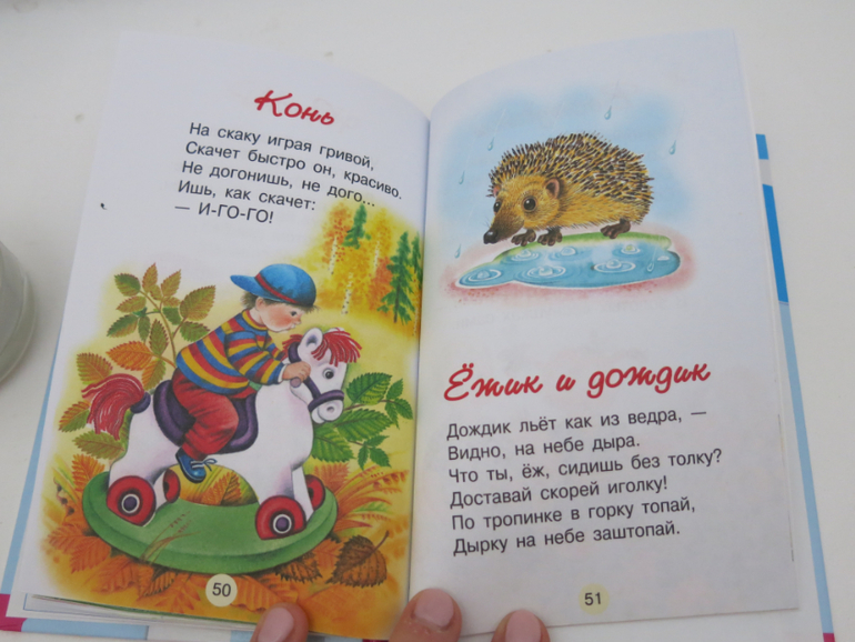 Эх! Наш новый бюджет на игрушки