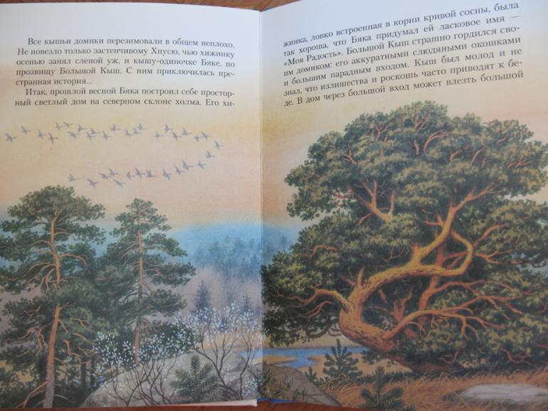 Как найти Кыша?!?