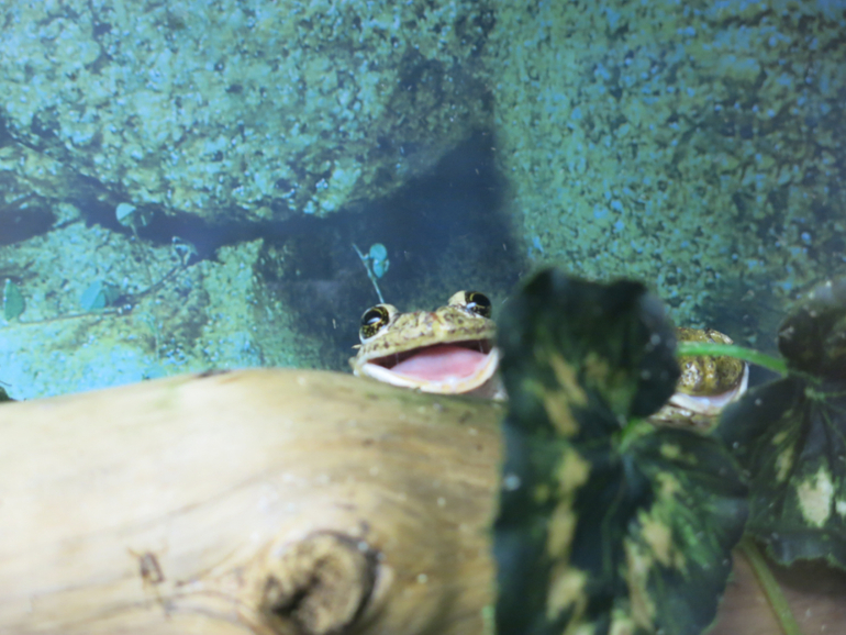 Поездка в Екатеринбург с Кимом 1,4 года.