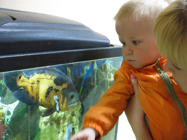 Поездка в Екатеринбург с Кимом 1,4 года.