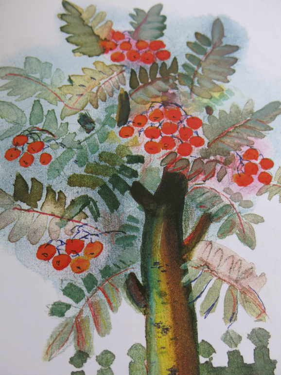 Тонкие стихи Ирины Токмаковой