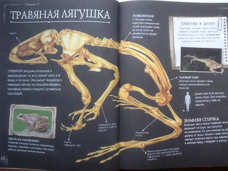 Ну очень классная книжка!!!(Новинка от Clever)