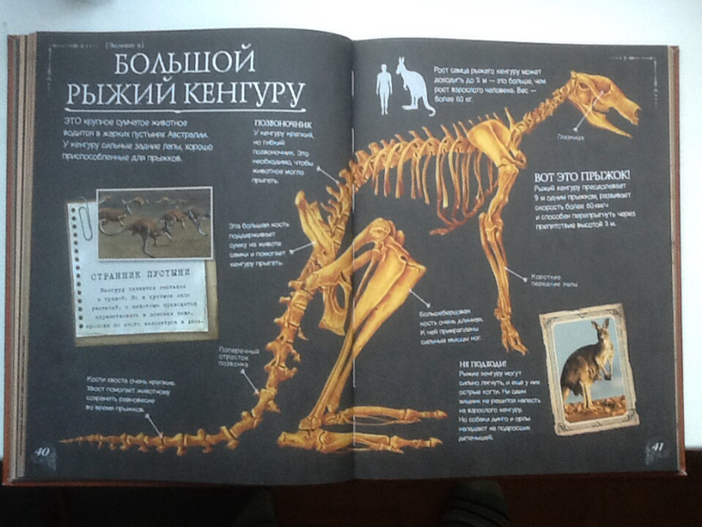 Ну очень классная книжка!!!(Новинка от Clever)