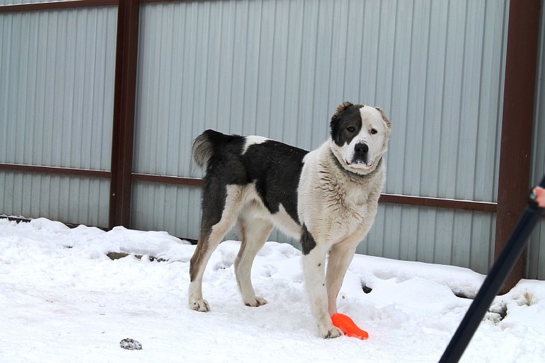 Мой самый преданный друг=)