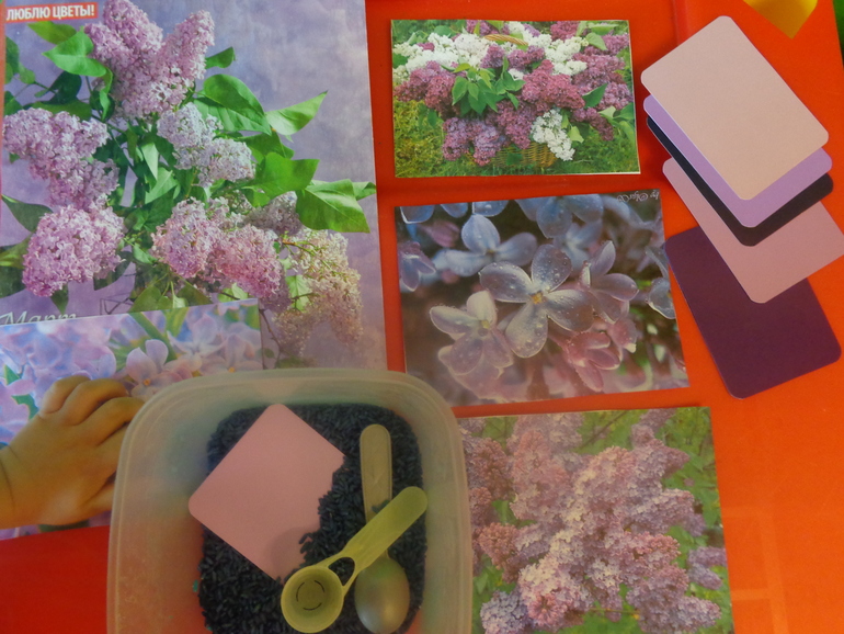 Сиреневый ТД