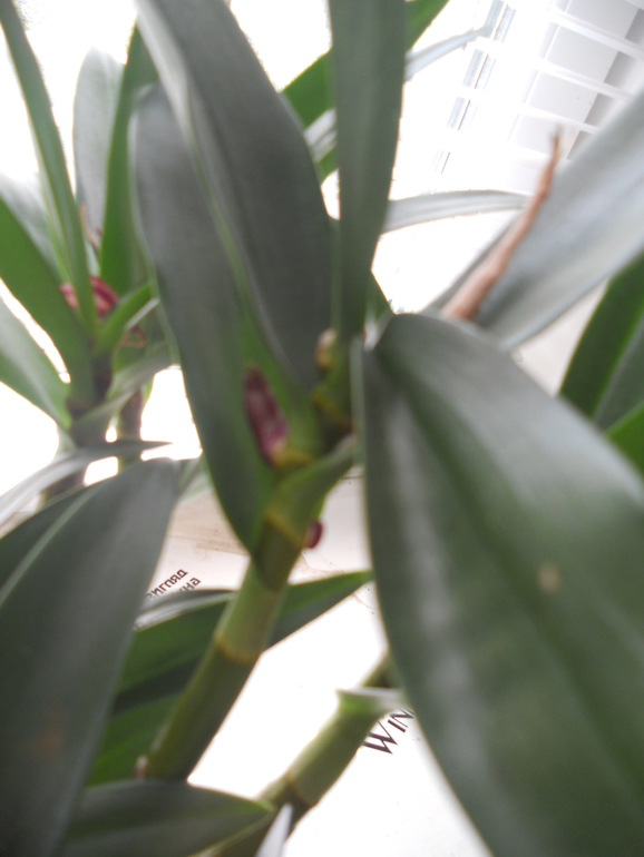 Вот это скорее всего и есть моё хобби