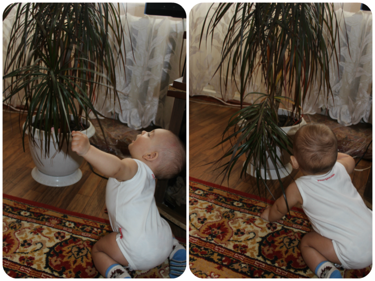 Нам 7 месяцев))