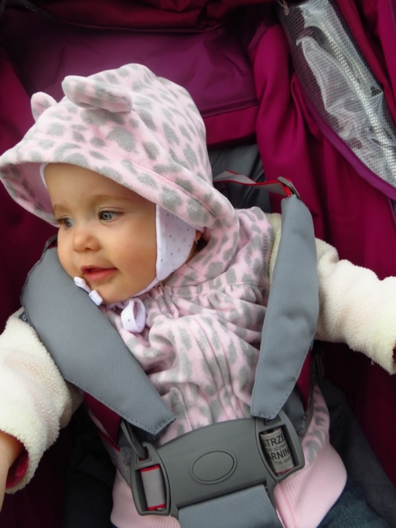 Моя любимая колясочка