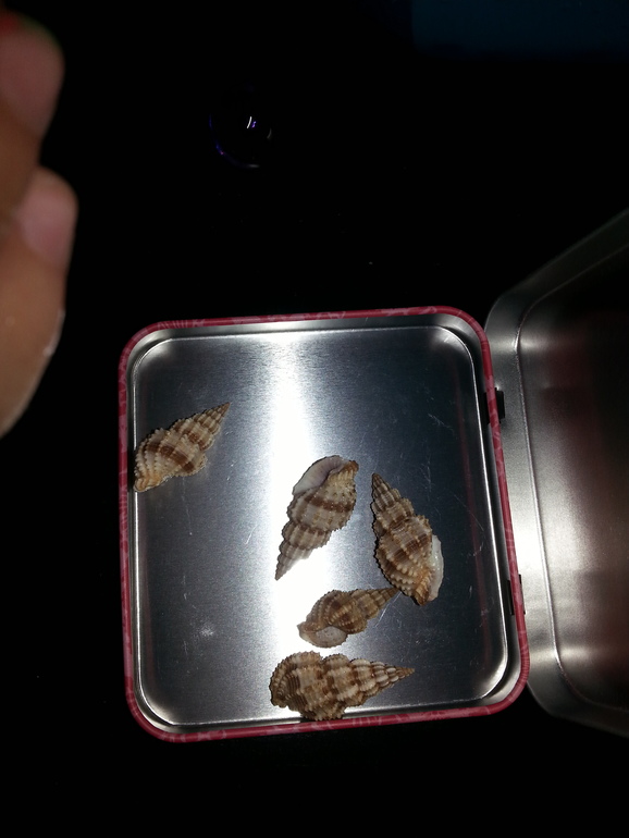 ФМ МОРЕ 5 день