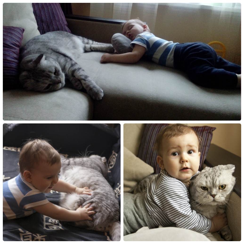 11,2 что умеет, что любит