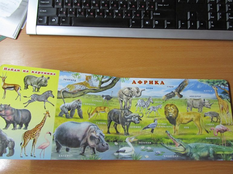 Бюджетные картонки для малышей