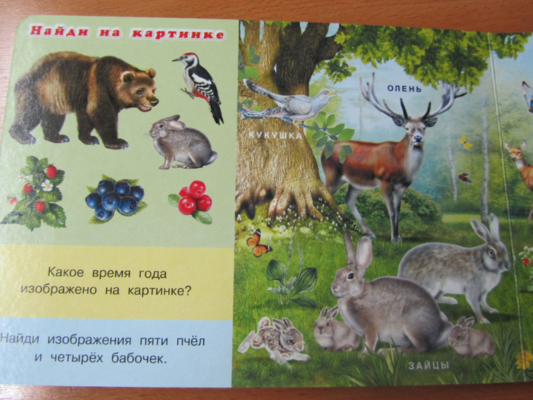 Бюджетные картонки для малышей