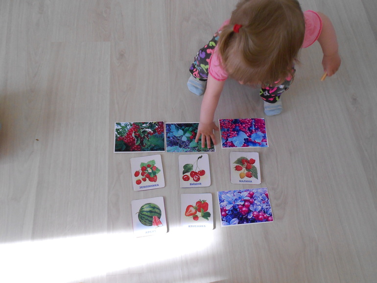 ТЗ Красный цвет. Ягоды