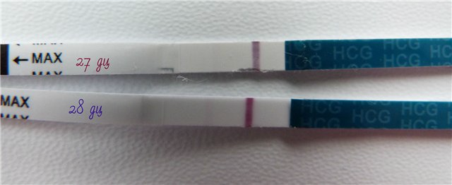 мои тестики ровно год назад