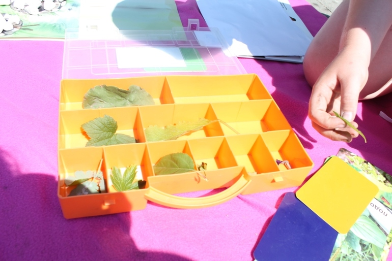 Как сохранить цветы зимой, как разжечь огонь,какие цветы самые полезные и многое другое в нашем занятии по академии умницы