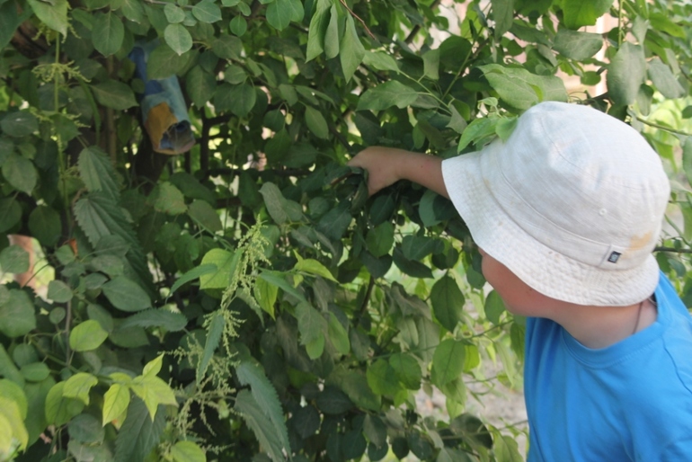 Квест для детей - ищем сокровища Персии и Месопотамии.