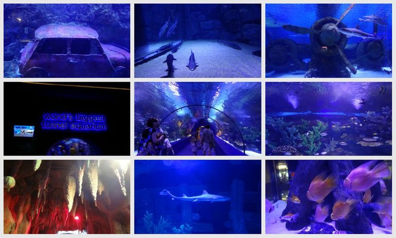 Наш отдых в мае!