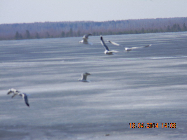 Ну вот теперь и наша прогулочка