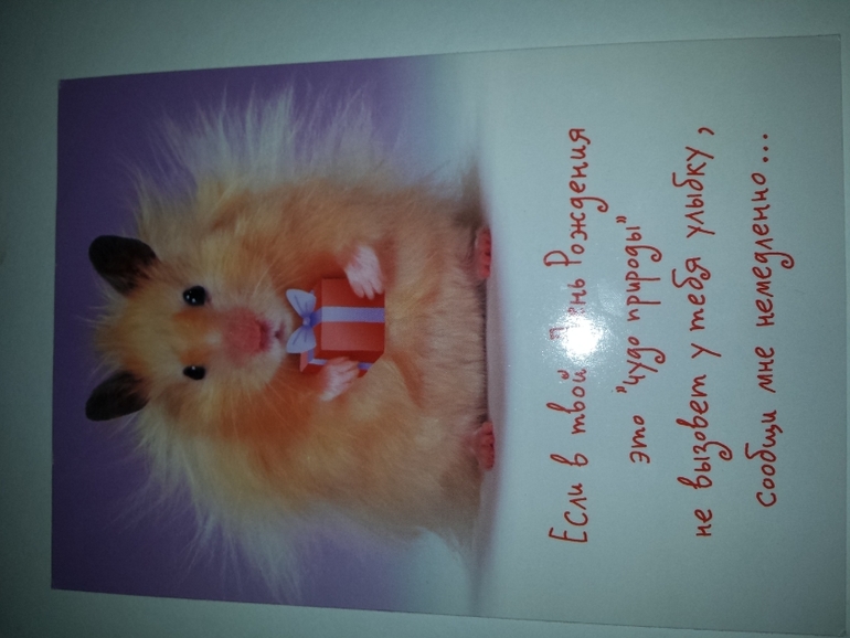 Современные открытки