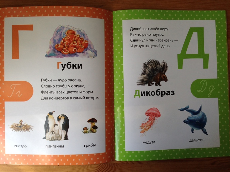 Азбука в стихах. Филиппова Анастасия, изд. Сибиллиана