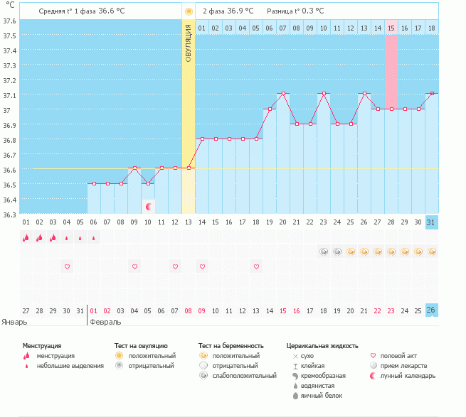 А наш график беременный!!!))))